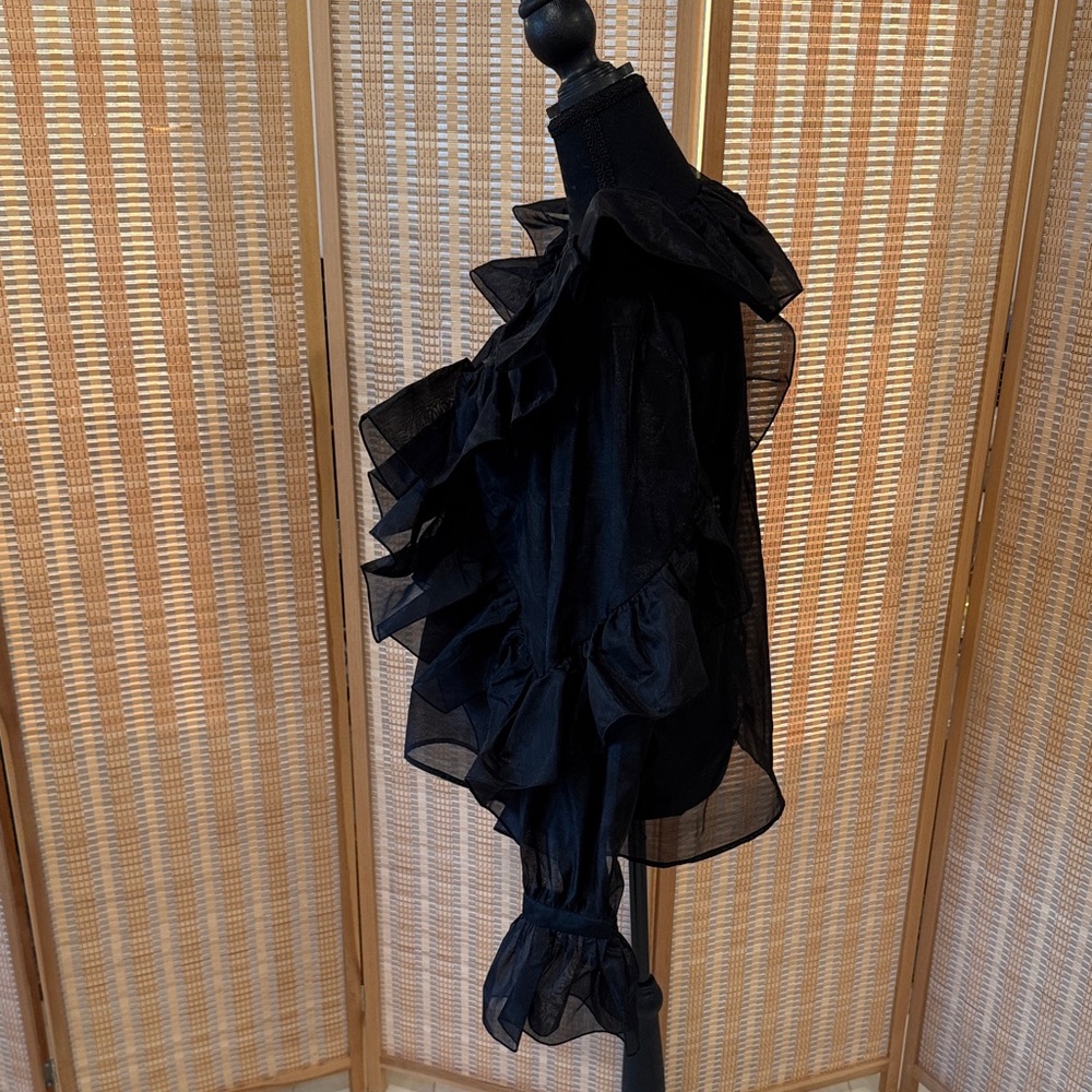 H&M Sheer Black Ruffled Blouse - Picture 5 of 9